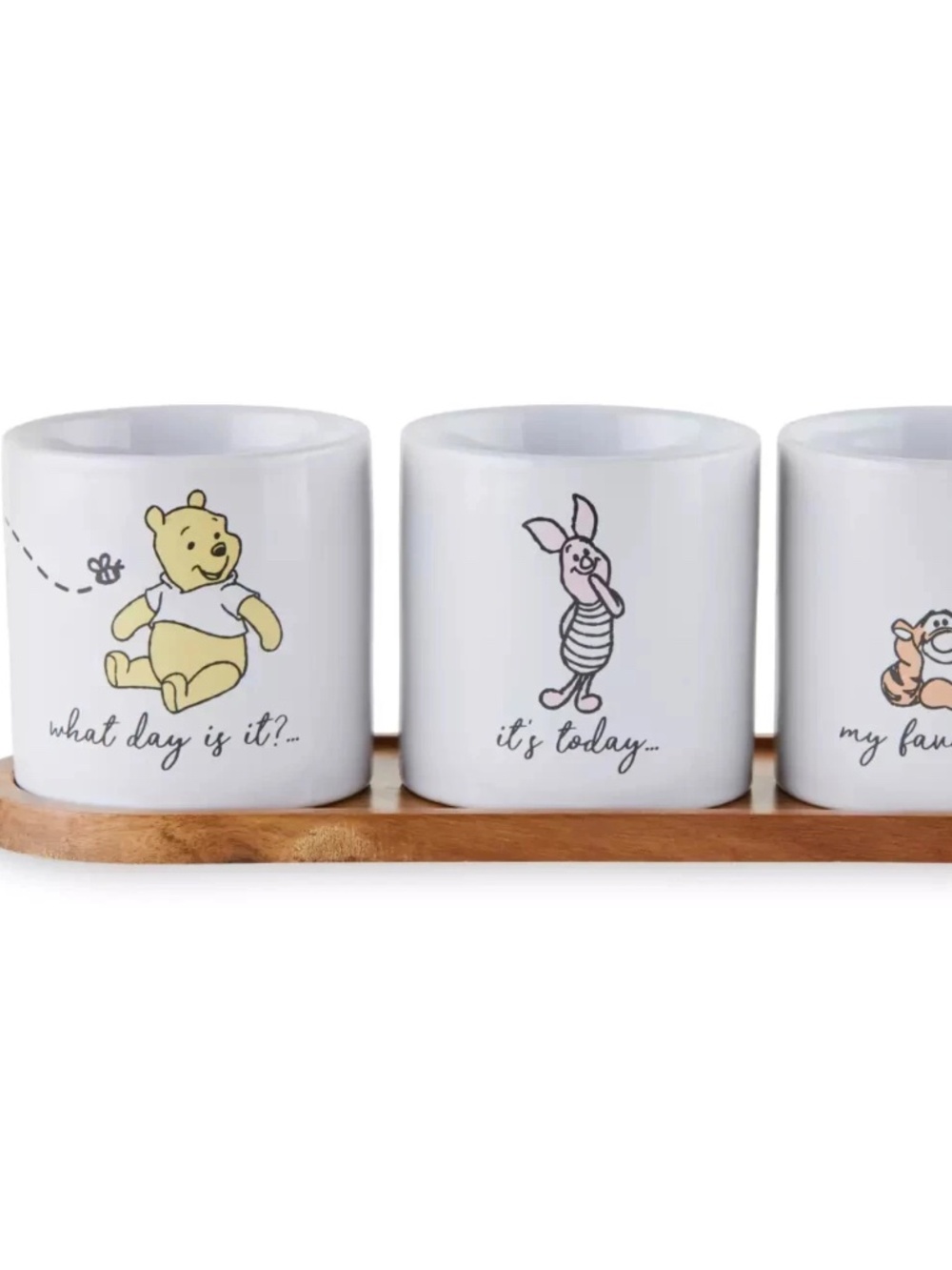 Disney Winnie The Pooh and Pals Herb Planter Set of 3 Tigger Piglet and Pooh